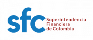 Superfinanciera NewNet Consultoría IPV4 - IPV6