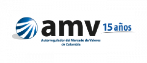 amv NewNet Auditoría en Seguridad de la Información