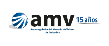 amv NewNet Auditoría en Seguridad de la Información