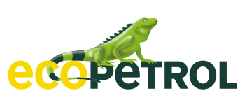 Ecopetrol NewNet Auditoría en Seguridad de la Información